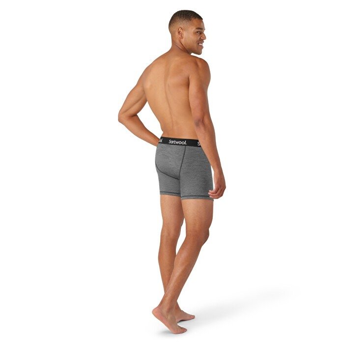 Boxer merino - Active Boxer Brief Boxed - Gri