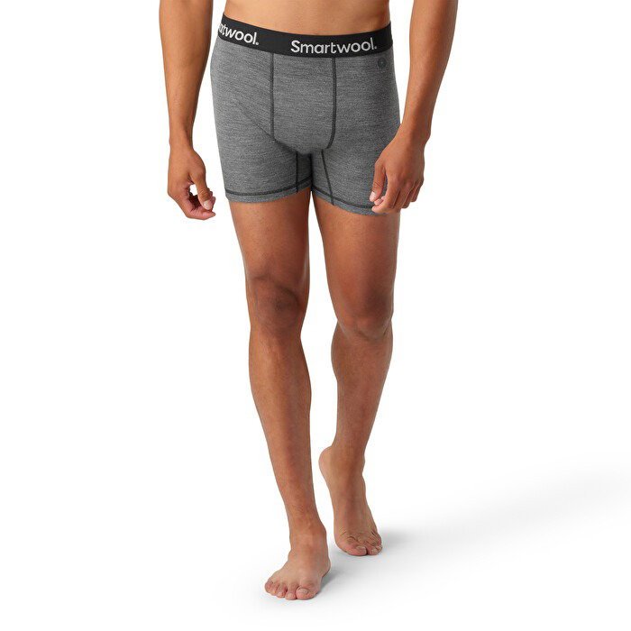 Boxer merino - Active Boxer Brief Boxed - Gri