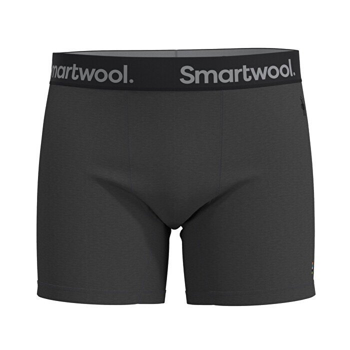 Boxer merino - Active Boxer Brief Boxed - Gri