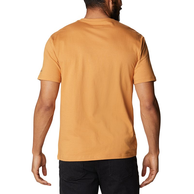 Tricou Barbati Columbia Path Lake Graphic Tee II